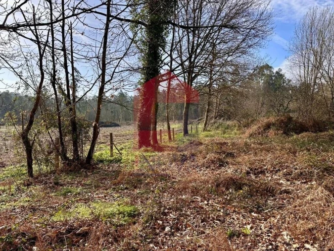 Terreno para Venda em Freiriz Foto 6