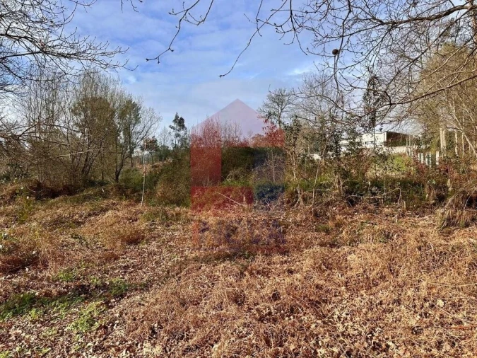 Terreno para Venda em Freiriz Foto 8