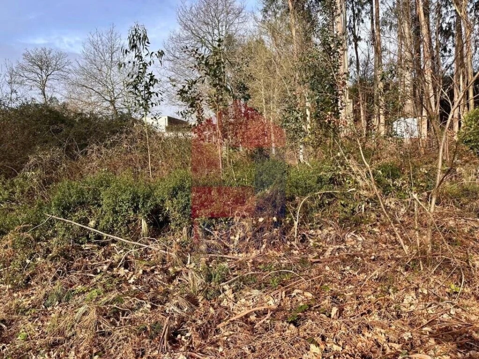 Terreno para Venda em Freiriz Foto 7