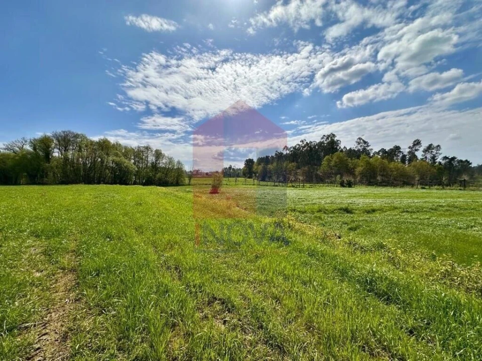 Terreno para Venda em Lanhas Foto 16