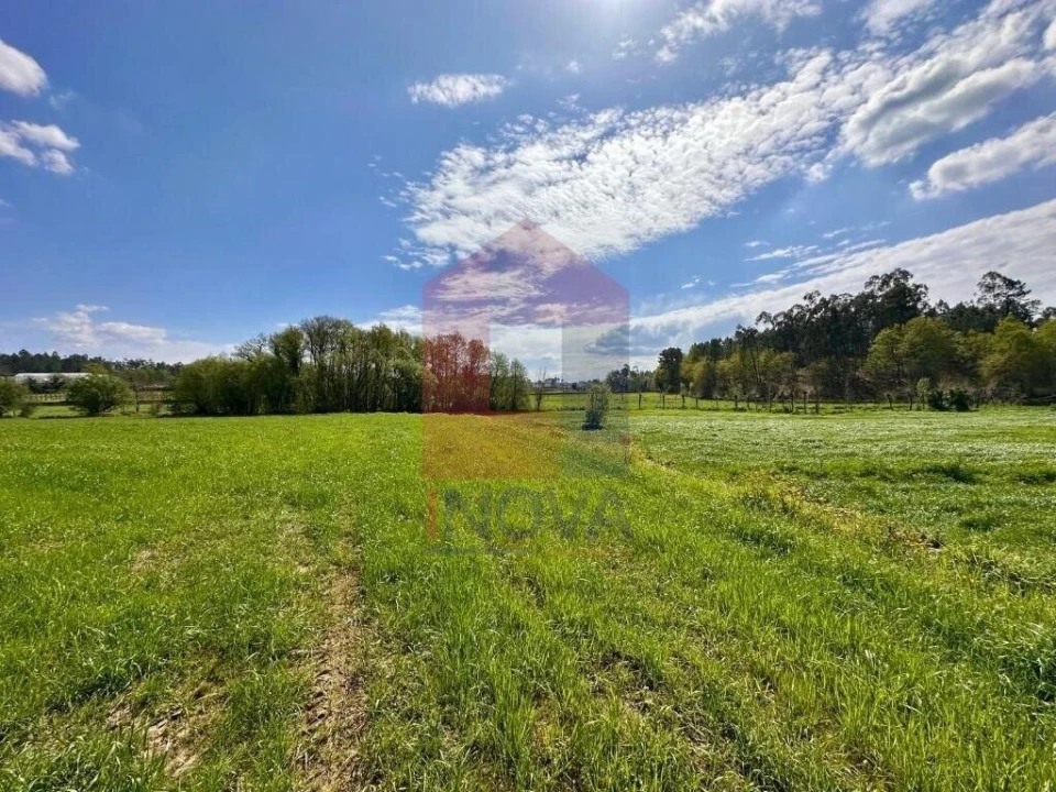 Terreno para Venda em Lanhas Foto 15