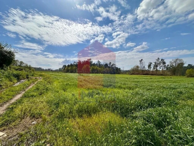Terreno para Venda em Lanhas Foto 2