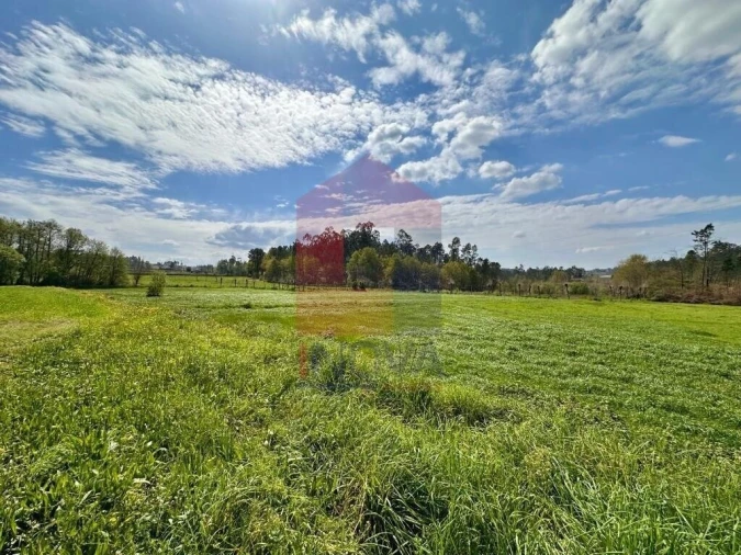Terreno para Venda em Lanhas Foto 24