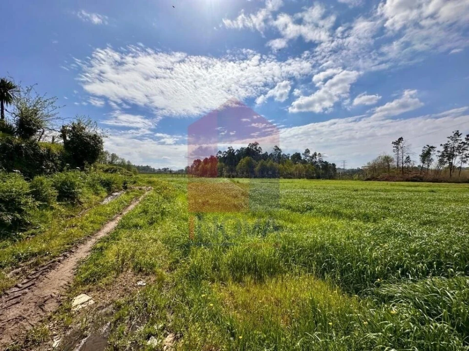 Terreno para Venda em Lanhas Foto 3