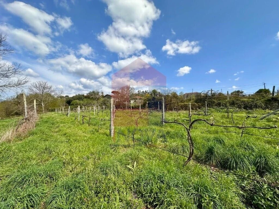 Moradia T6 para Venda em Lanhas Foto 64