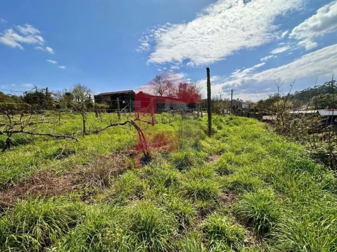 Moradia T6 para Venda em Lanhas Foto 70