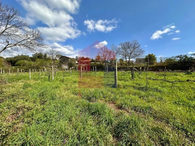 Moradia T6 para Venda em Lanhas Foto 72