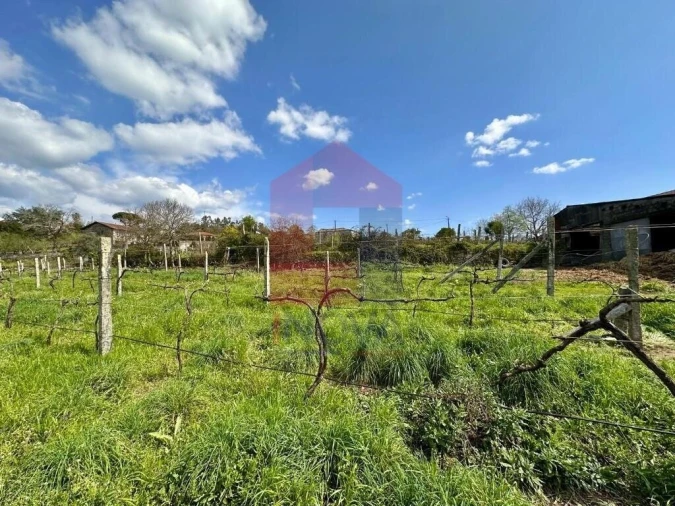 Moradia T6 para Venda em Lanhas Foto 65