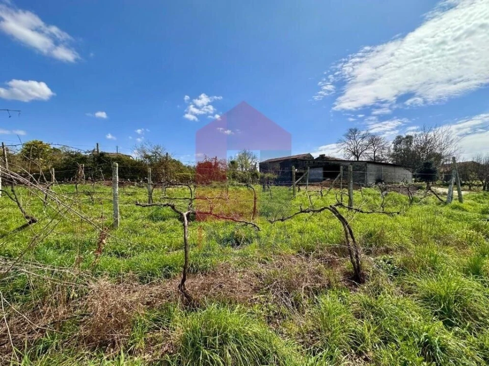 Moradia T6 para Venda em Lanhas Foto 68