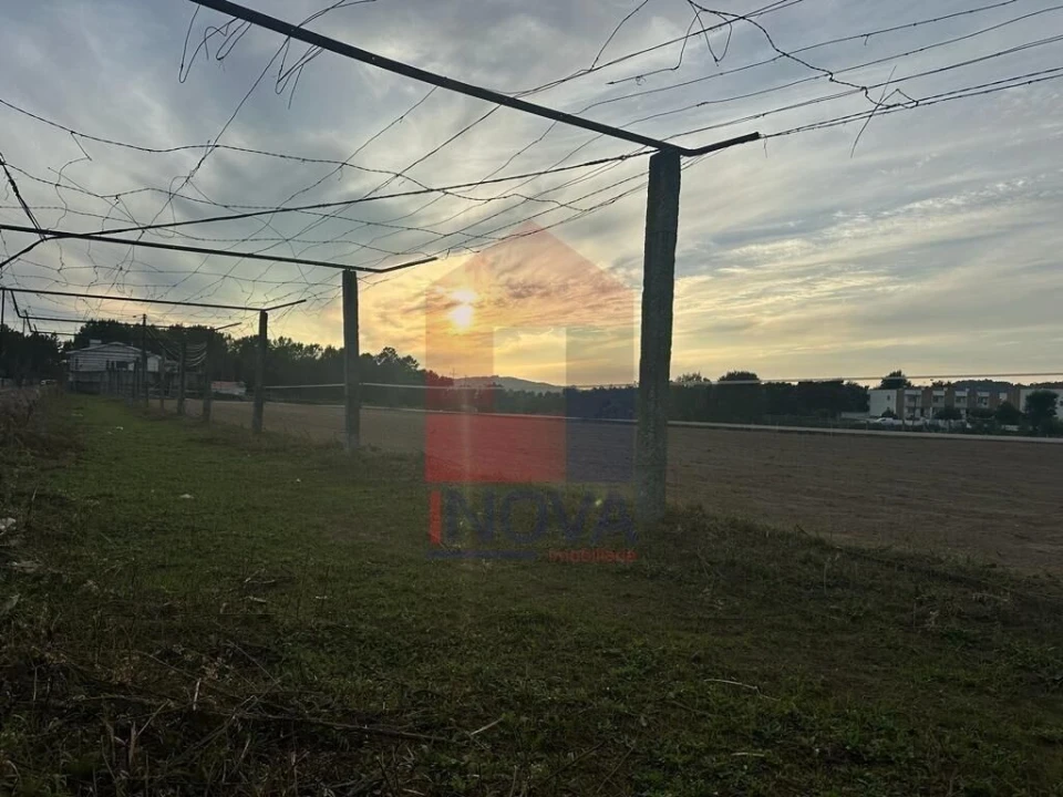 Quinta T8 para Venda em Soutelo Foto 13