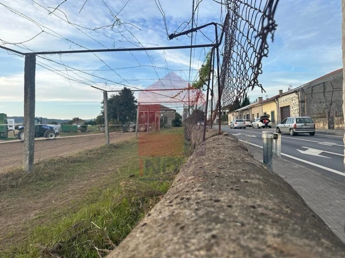 Quinta T8 para Venda em Soutelo Foto 12