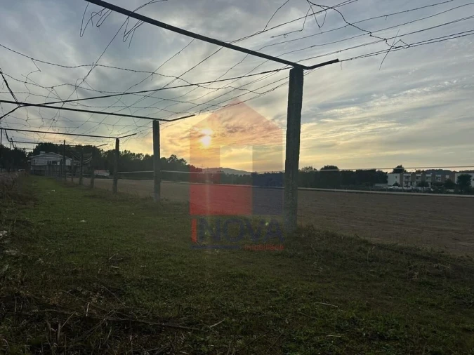 Quinta T8 para Venda em Soutelo Foto 13