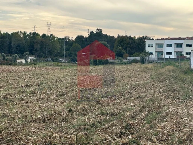 Quinta T8 para Venda em Soutelo Foto 5