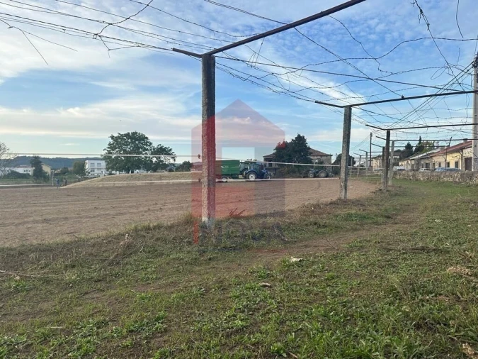 Quinta T8 para Venda em Soutelo Foto 11