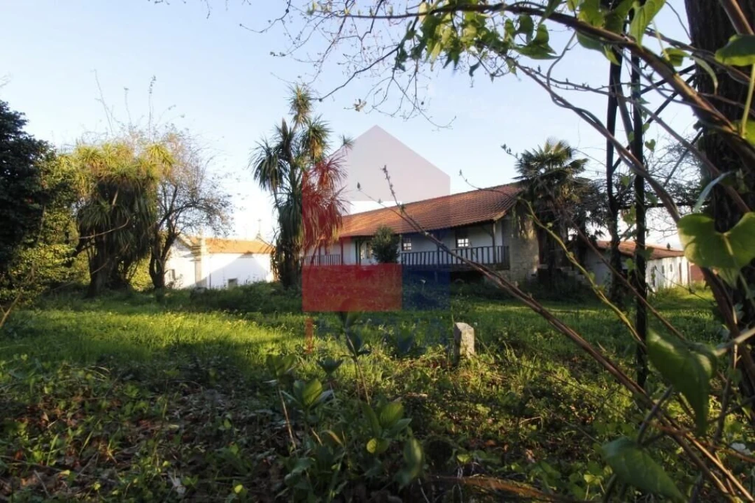 Quinta T12 para Venda em Prado (São Miguel) Foto 52