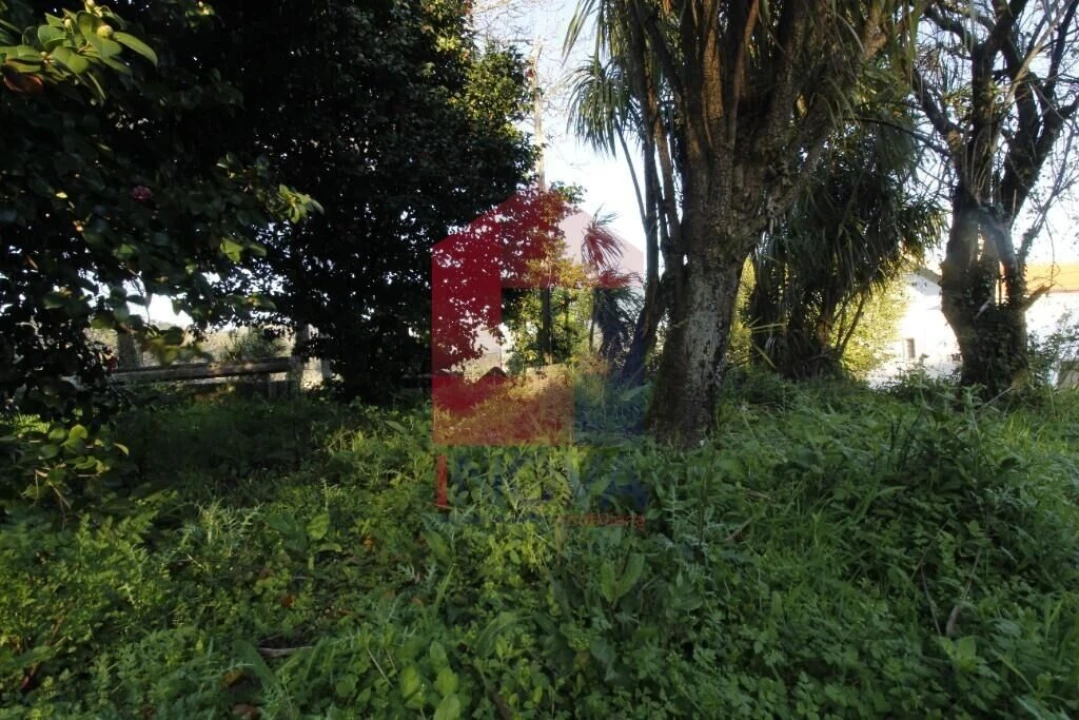 Quinta T12 para Venda em Prado (São Miguel) Foto 55