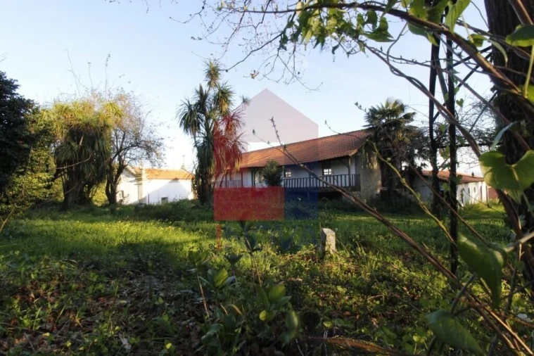 Quinta T12 para Venda em Prado (São Miguel) Foto 52