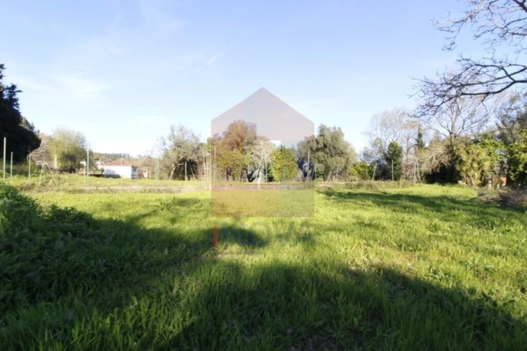 Quinta T12 para Venda em Prado (São Miguel) Foto 72