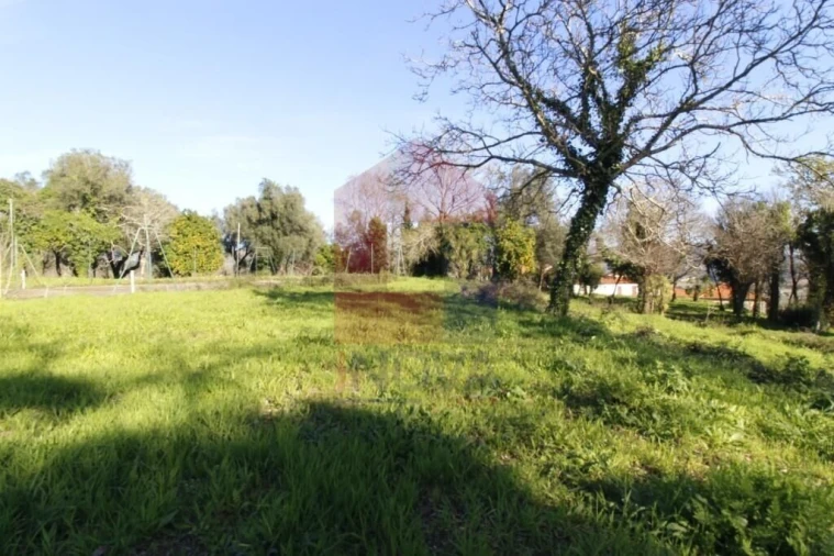 Quinta T12 para Venda em Prado (São Miguel) Foto 71