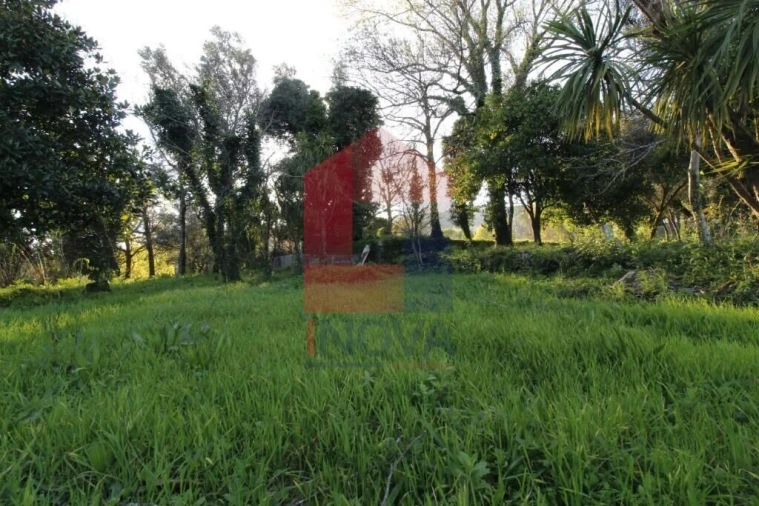 Quinta T12 para Venda em Prado (São Miguel) Foto 56