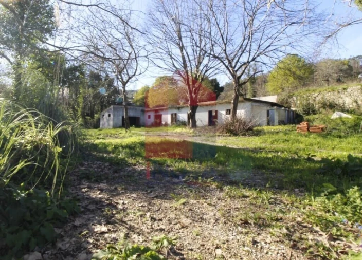 Quinta T12 para Venda em Prado (São Miguel) Foto 74