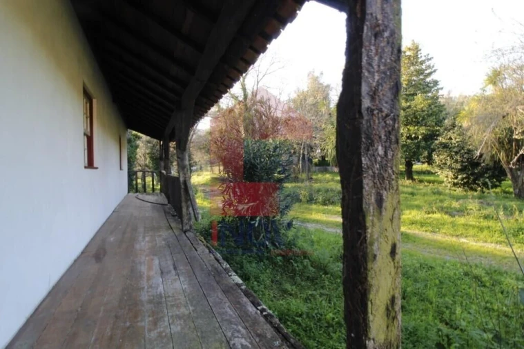 Quinta T12 para Venda em Prado (São Miguel) Foto 45