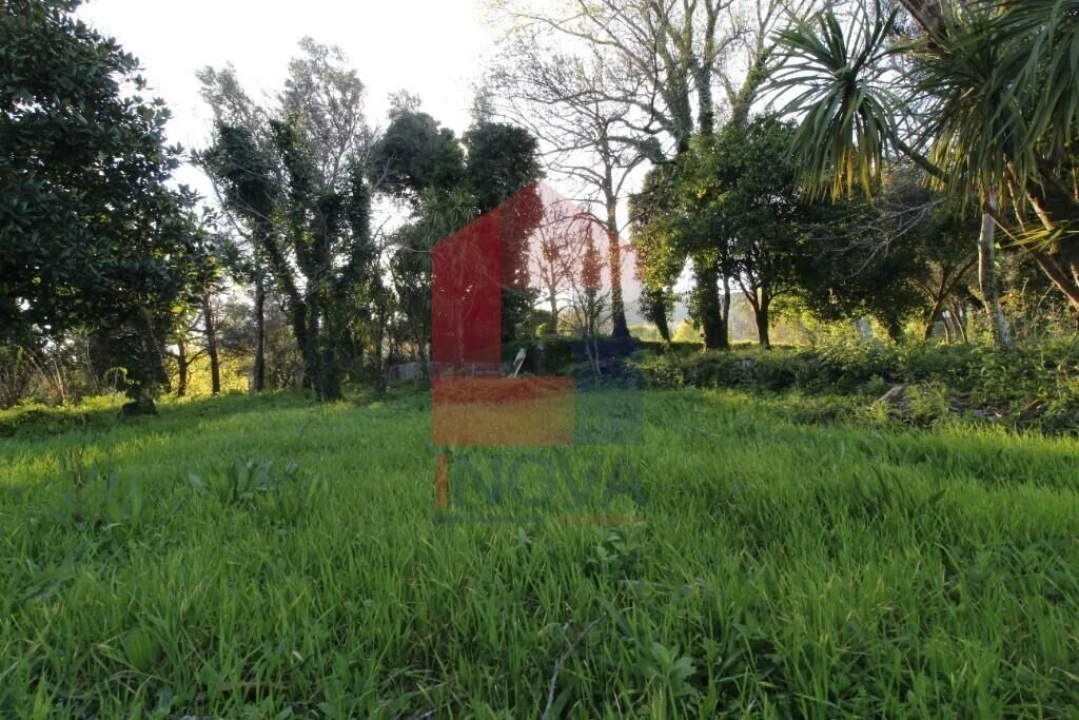 Quinta T12 para Venda em Prado (São Miguel) Foto 56