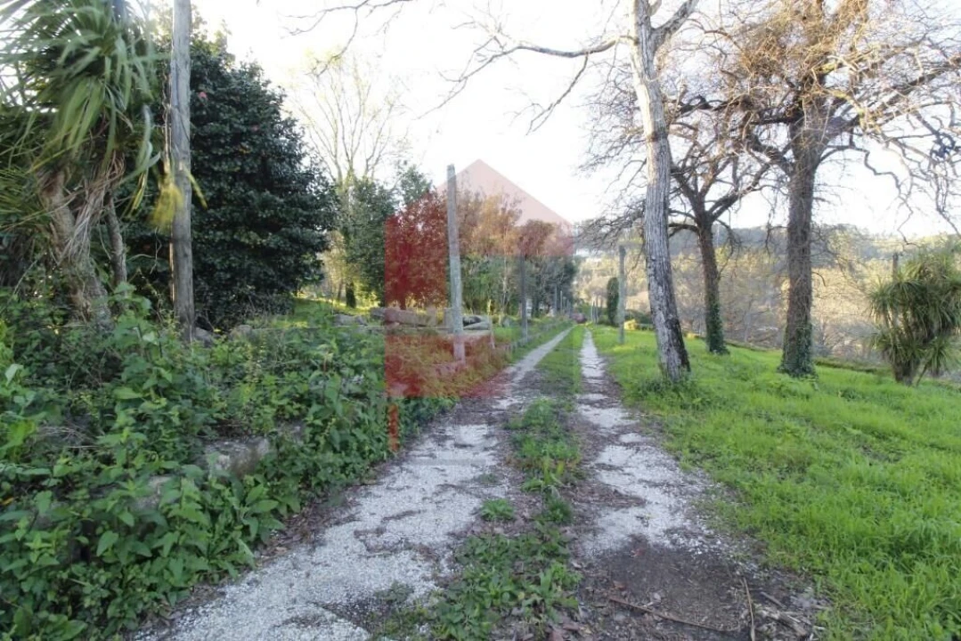 Quinta T12 para Venda em Prado (São Miguel) Foto 49