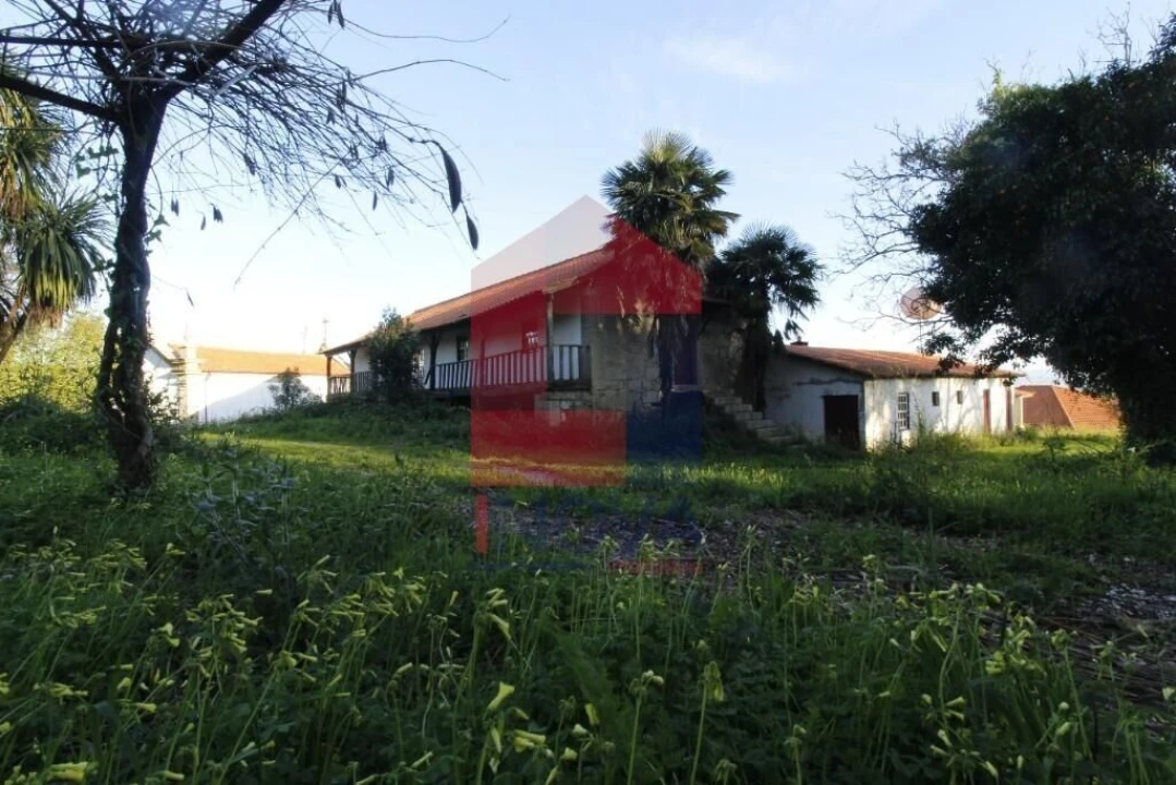 Quinta T12 para Venda em Prado (São Miguel) Foto 53