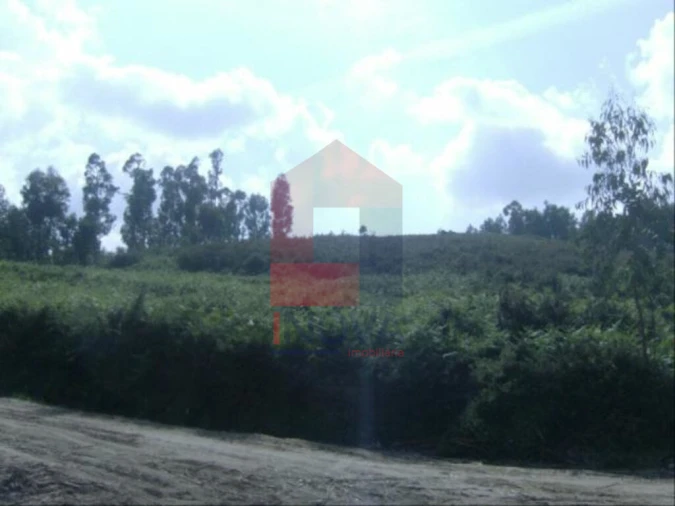 Terreno para Venda em Dossãos Foto 2