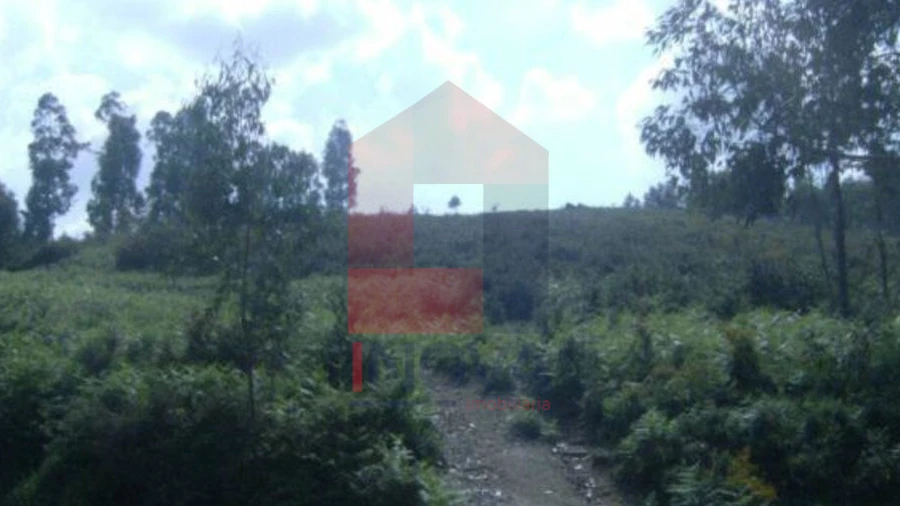 Terreno para Venda em Dossãos