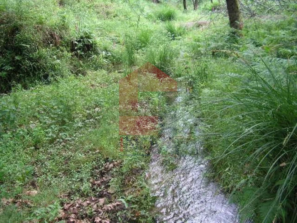 Terreno para Venda em Valdreu Foto 3