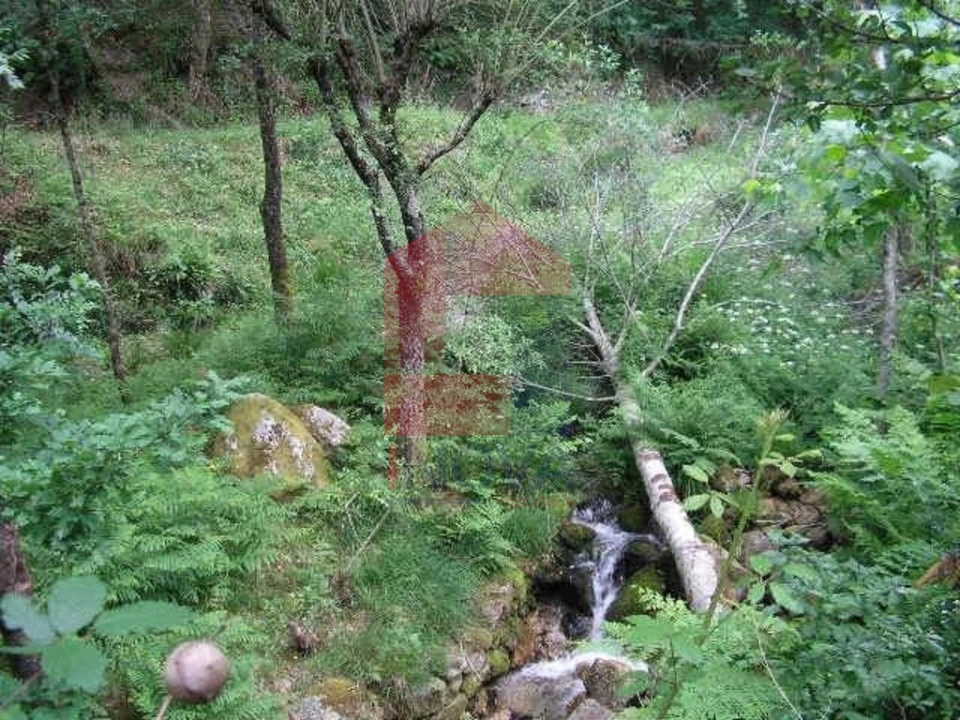 Terreno para Venda em Valdreu Foto 4