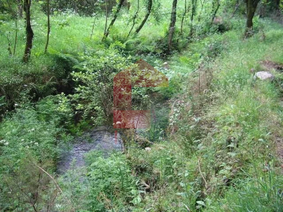 Terreno para Venda em Valdreu Foto 9