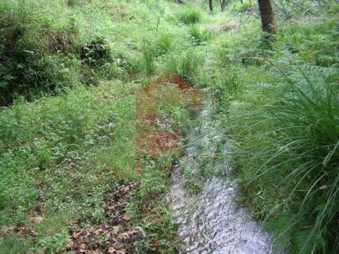 Terreno para Venda em Valdreu Foto 3