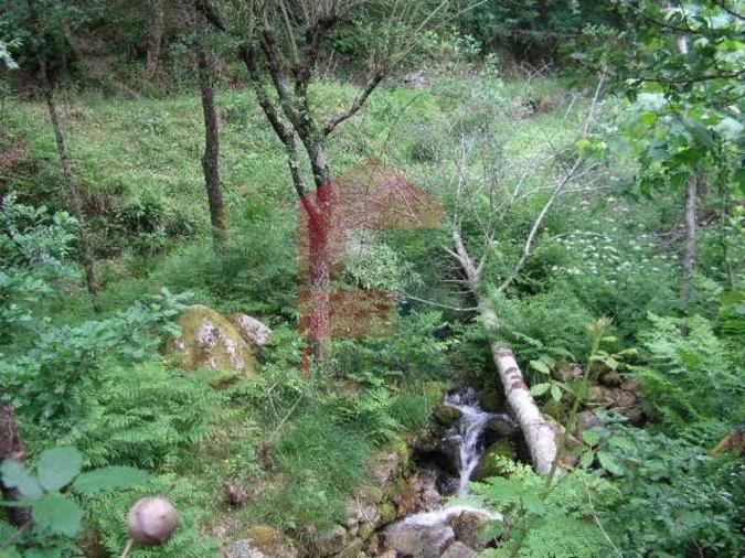 Terreno para Venda em Valdreu Foto 4