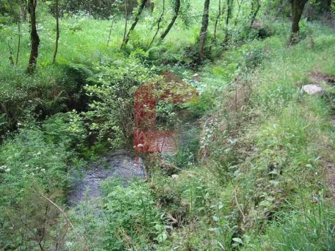 Terreno para Venda em Valdreu Foto 9