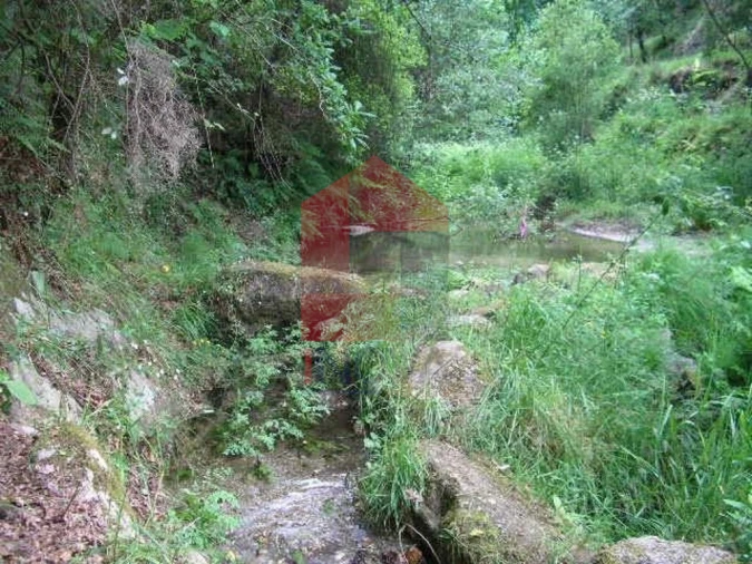 Terreno para Venda em Valdreu Foto 2