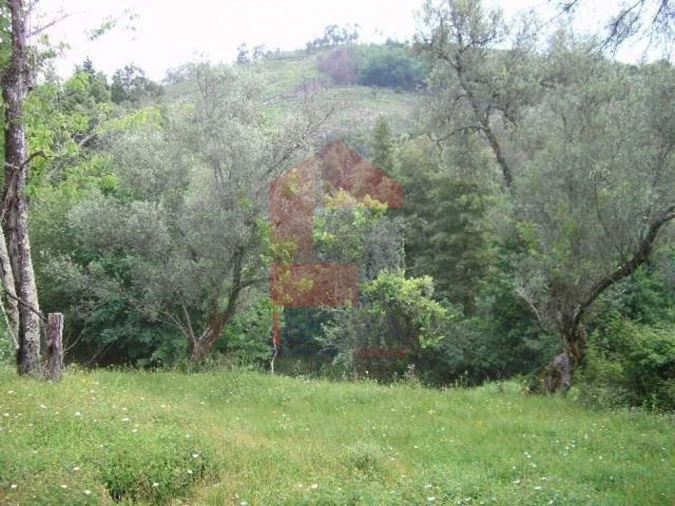Terreno para Venda em Valdreu Foto 10