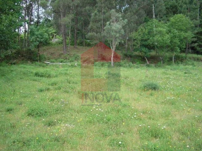 Terreno para Venda em Valdreu Foto 7
