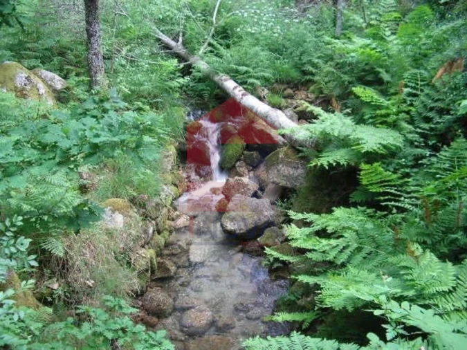 Terreno para Venda em Valdreu Foto 1