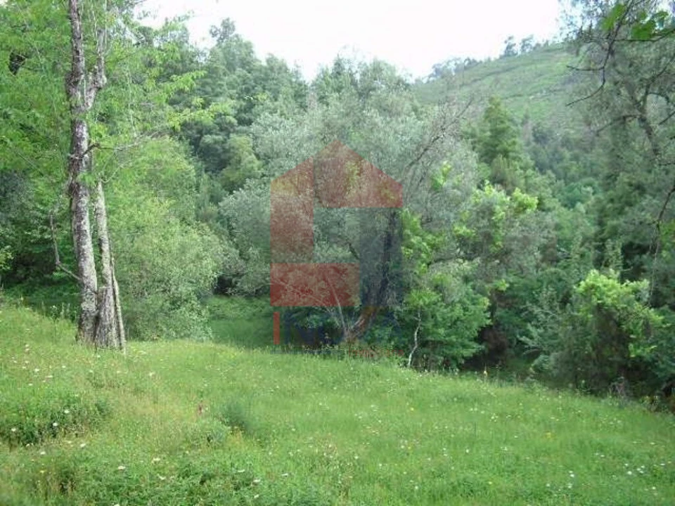 Terreno para Venda em Valdreu Foto 5