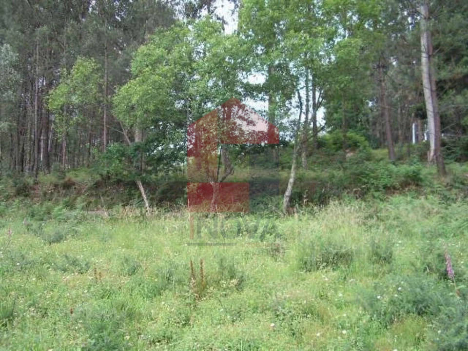 Terreno para Venda em Valdreu Foto 8