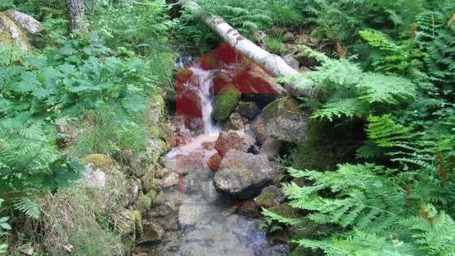 Terreno para Venda em Valdreu