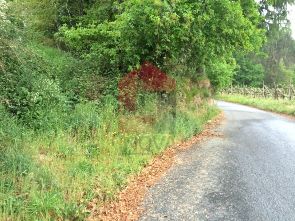 Terreno para Venda em Coucieiro Foto 10
