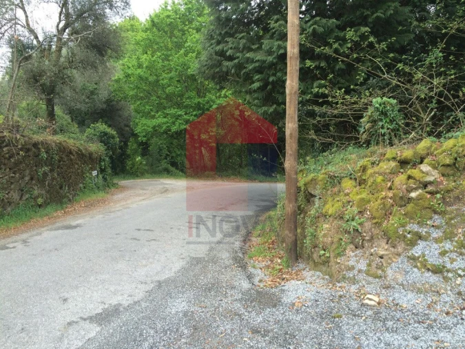 Terreno para Venda em Coucieiro Foto 11