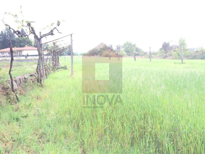 Terreno para Venda em Coucieiro Foto 6