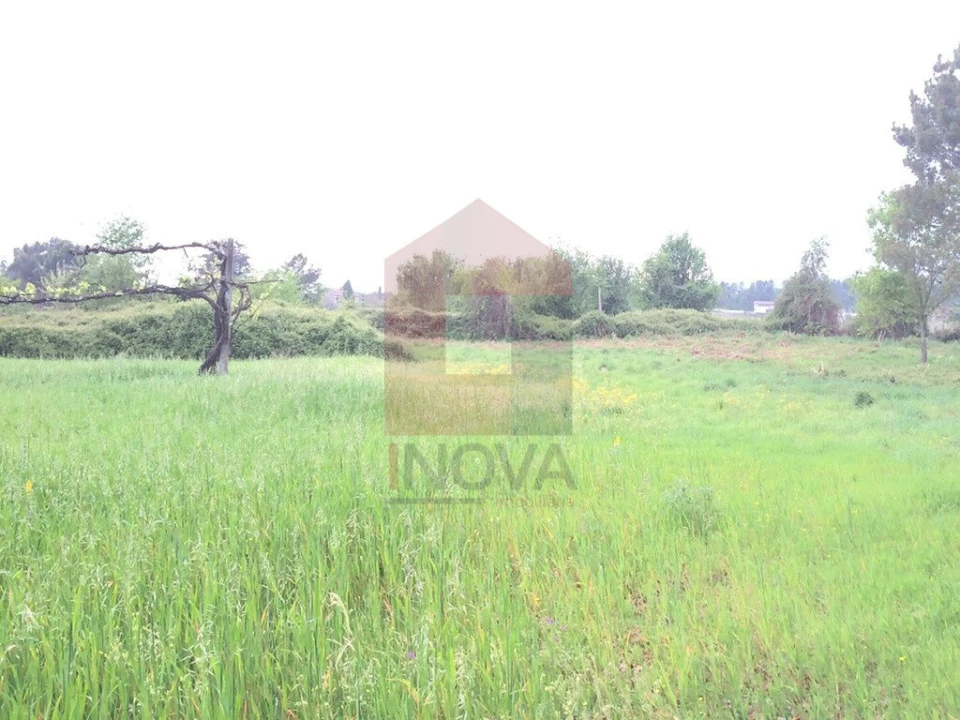 Terreno para Venda em Coucieiro Foto 5