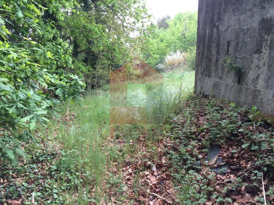 Terreno para Venda em Coucieiro Foto 7