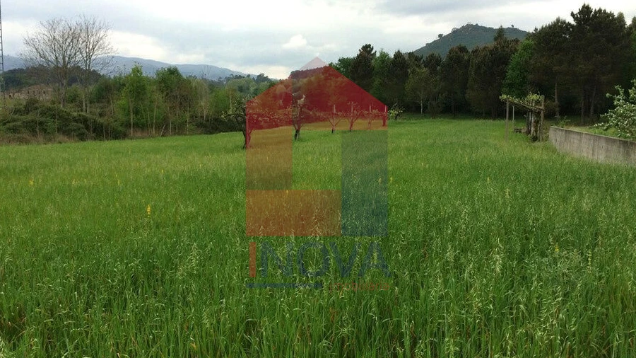Terreno para Venda em Coucieiro